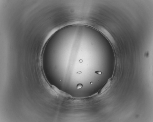 X0000091001436200708161929