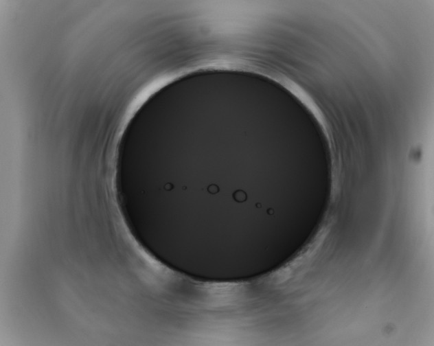 X0000091001437200708161929