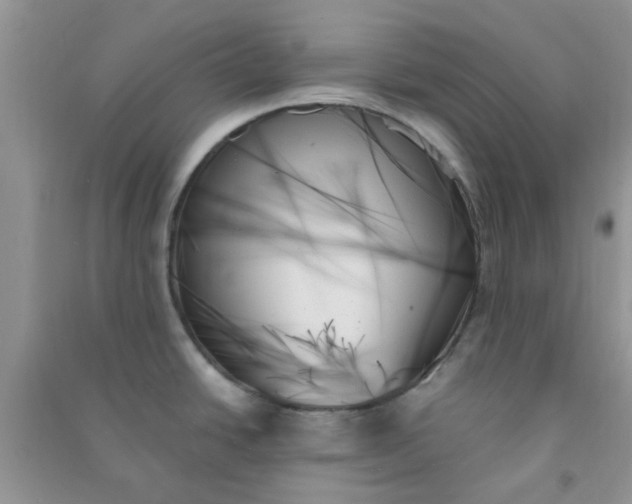 X0000091001438200708161929