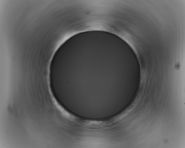 X0000091001439200708161929