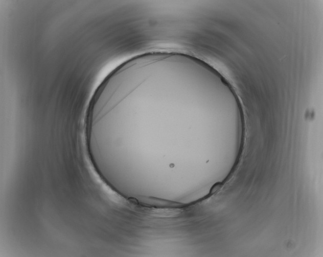 X0000091001440200708161929