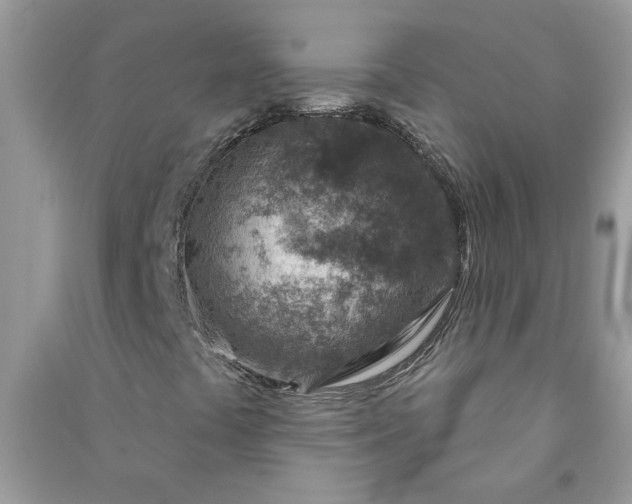X0000091001441200708161928