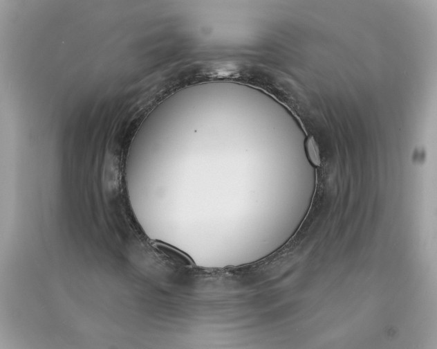X0000091001442200708161928