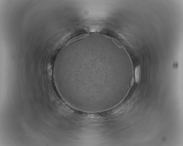 X0000091001443200708161928