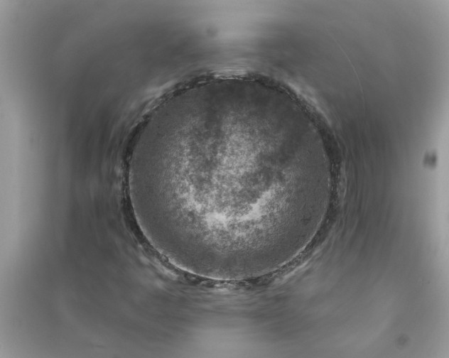 X0000091001445200708161928