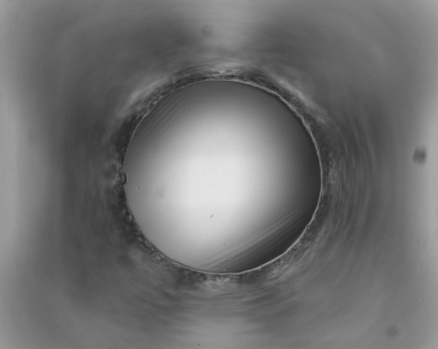 X0000091001447200708161928