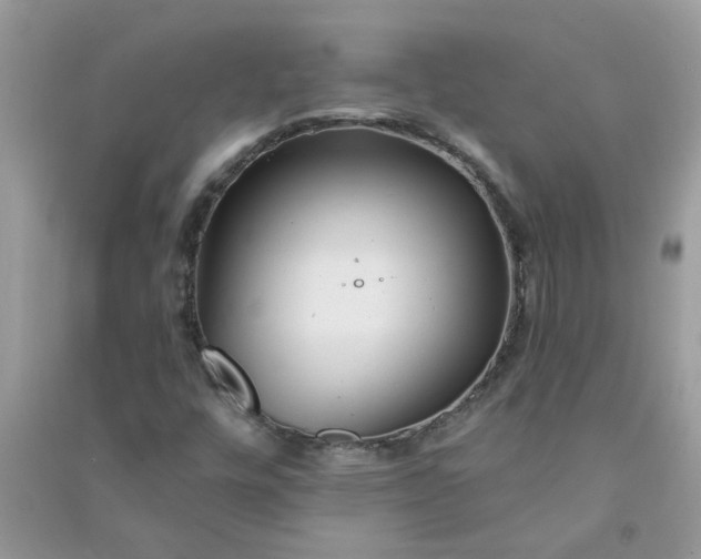 X0000091001448200708161928