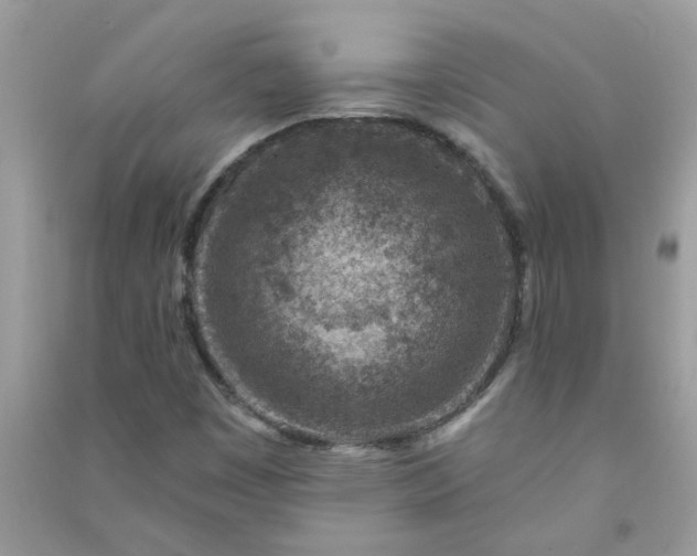 X0000091001449200708161928