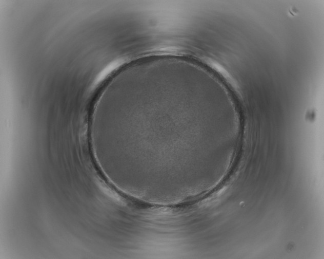 X0000091001450200708161928
