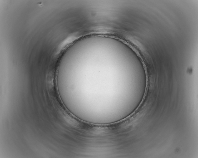 X0000091001451200708161928