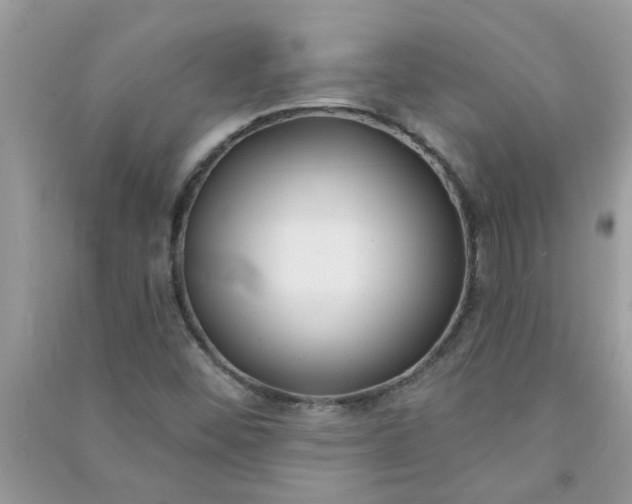 X0000091001452200708161928