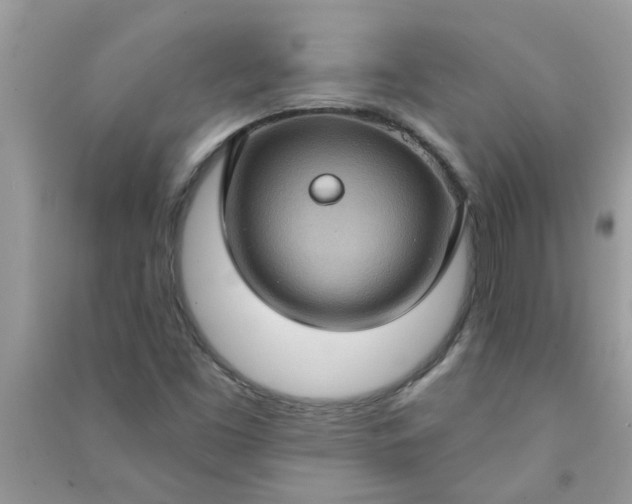 X0000091001453200708161928