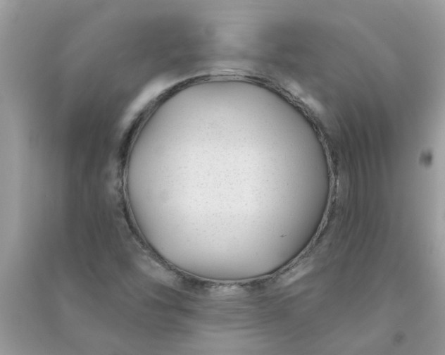 X0000091001454200708161928