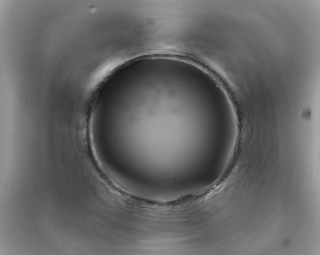 X0000091001455200708161928