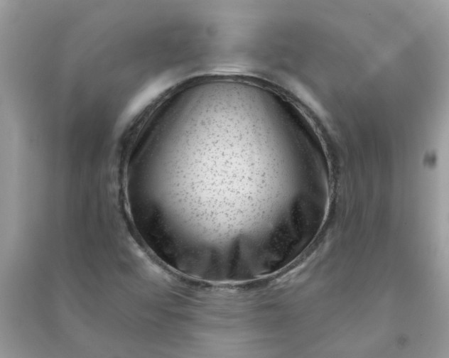 X0000091001456200708161928