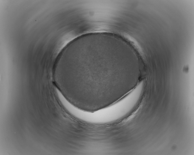 X0000091001457200708161928