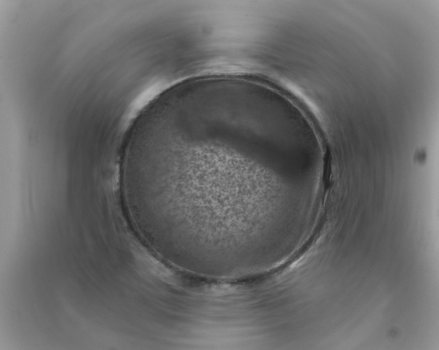 X0000091001459200708161928