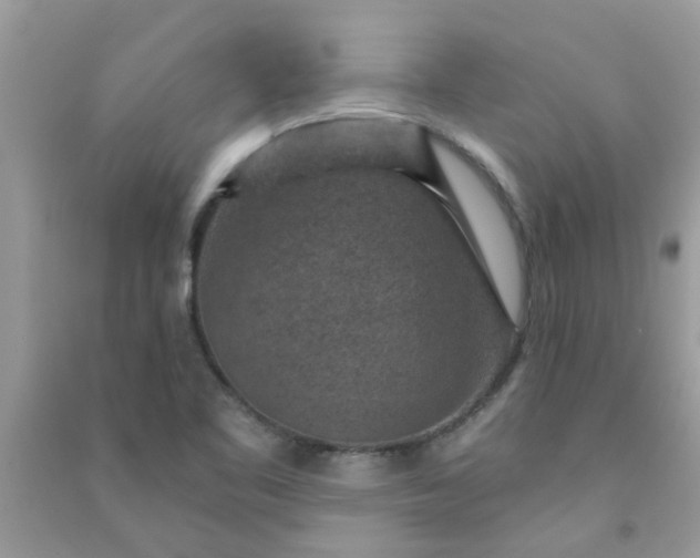 X0000091001461200708161928