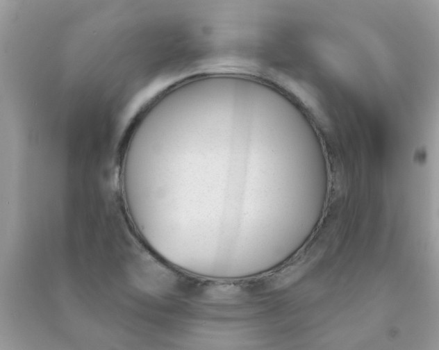 X0000091001462200708161928