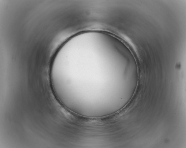 X0000091001464200708161928