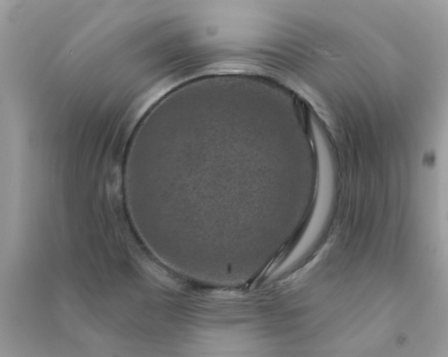 X0000091001465200708161928