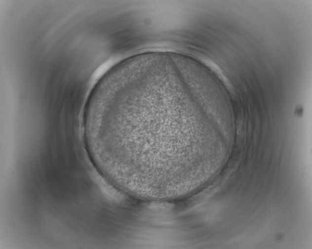 X0000091001466200708161928