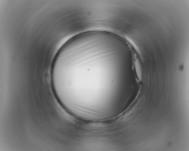 X0000091001468200708161928