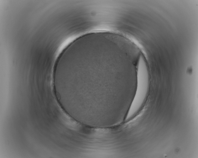 X0000091001469200708161928