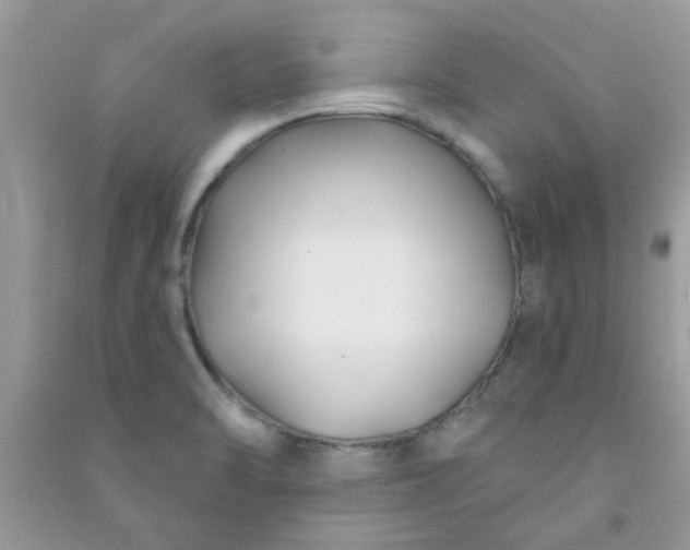 X0000091001470200708161928