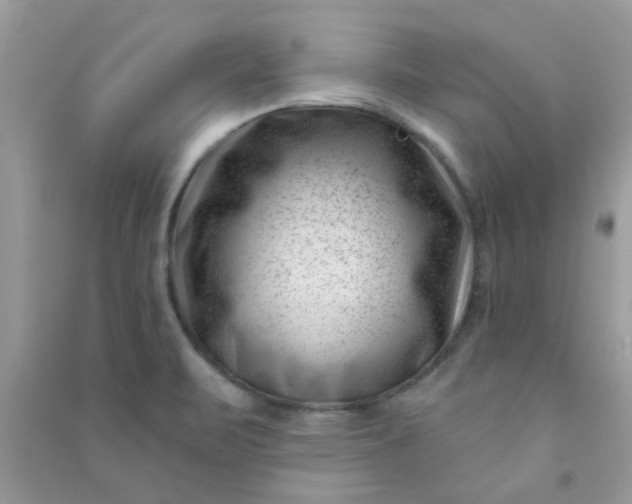X0000091001471200708161928