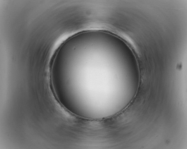 X0000091001472200708161928