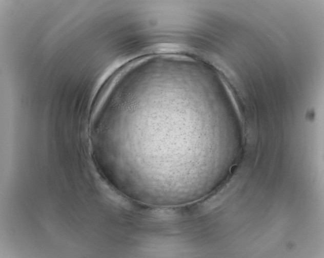 X0000091001473200708161928