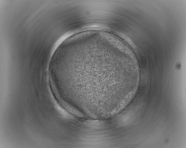 X0000091001474200708161928