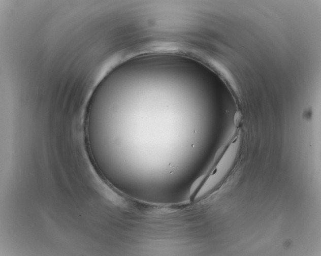 X0000091001475200708161928