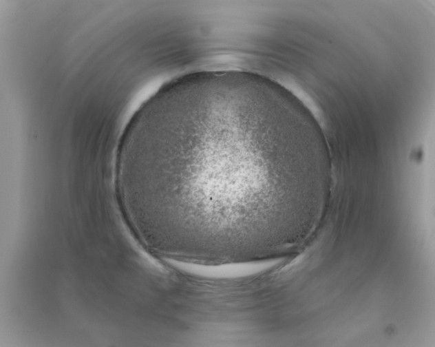 X0000091001477200708161928