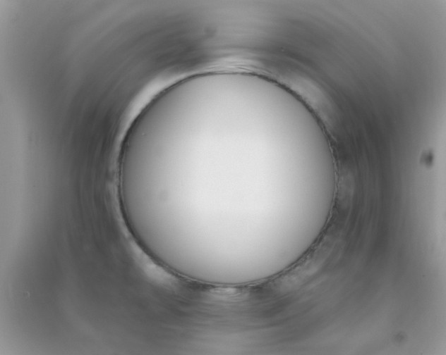 X0000091001478200708161928