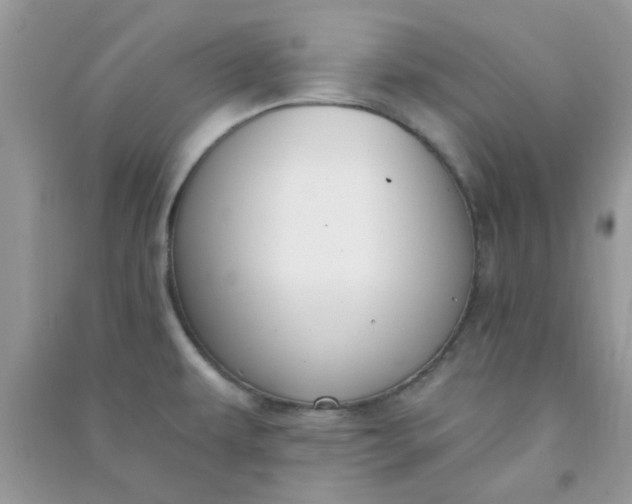 X0000091001479200708161928
