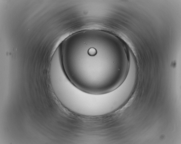 X0000091001481200708161928