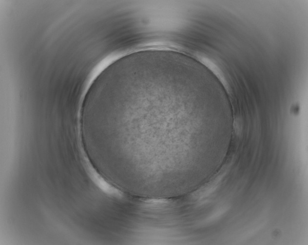 X0000091001482200708161928