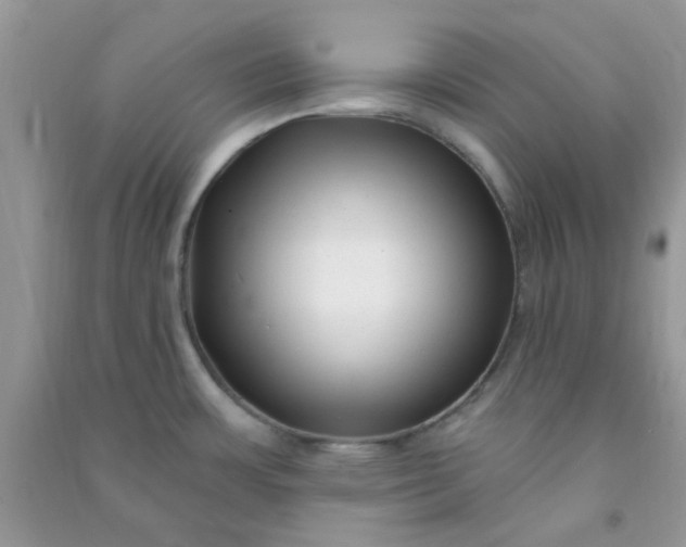X0000091001483200708161928