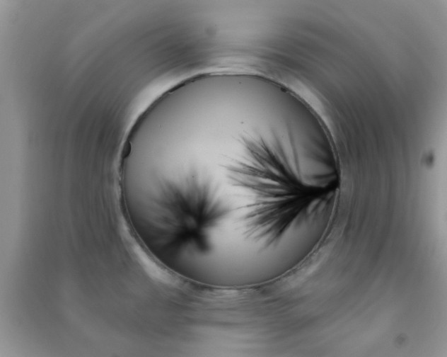 X0000091001485200708161927