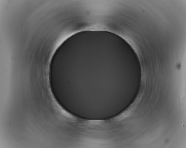 X0000091001486200708161927