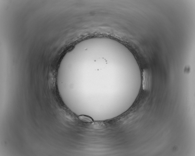 X0000091001491200708161927