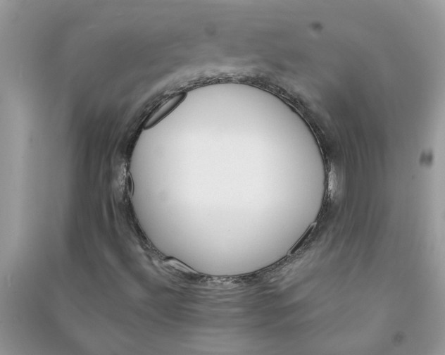 X0000091001492200708161927