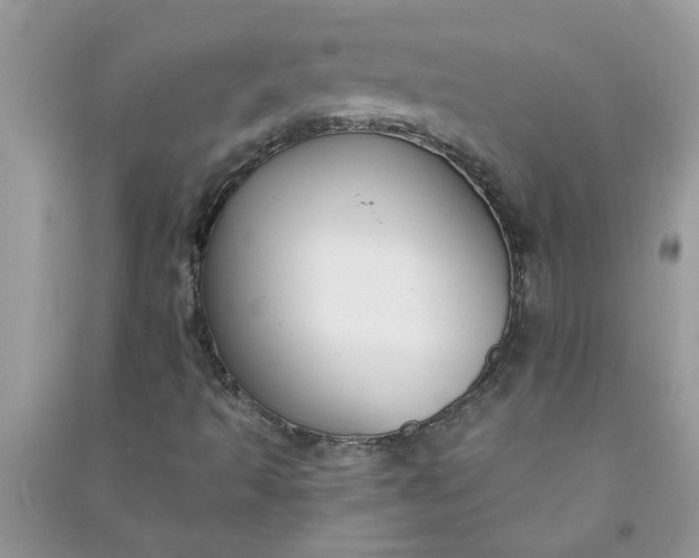 X0000091001493200708161927
