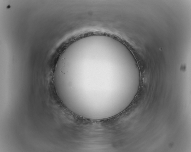 X0000091001495200708161927