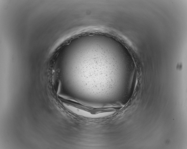X0000091001496200708161927
