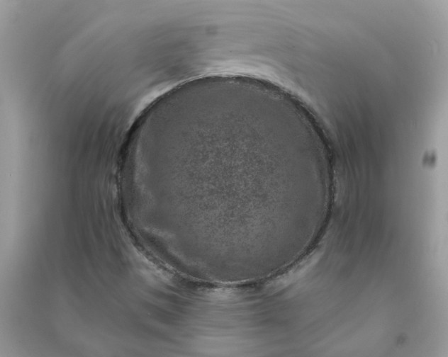 X0000091001497200708161927