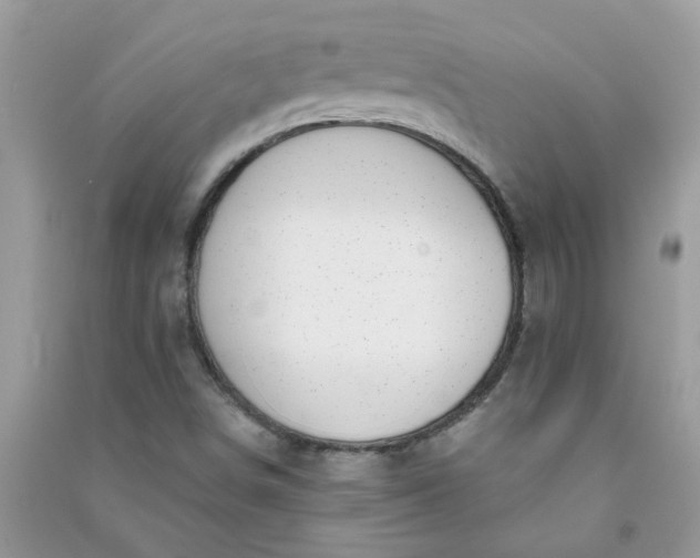 X0000091001498200708161927