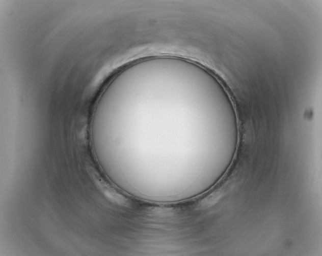 X0000091001499200708161927